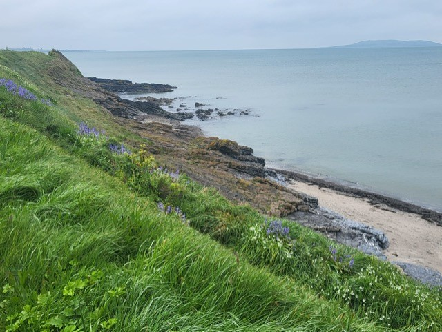 Marty Whelan tweet media