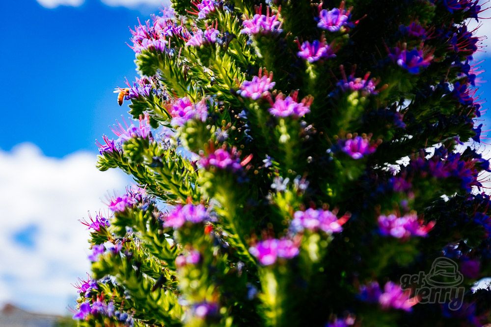 GetTerryNow's tweet image. There's a lot to admire about Richmond.

#Tasmania