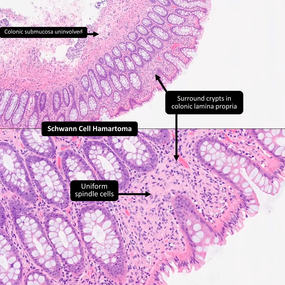 DrCycloPath tweet picture