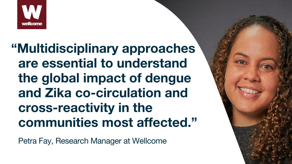 Looking for infectious disease funding? We’re funding teams to generate data to develop effective interventions for dengue and Zika through researching their spread, immunity and clinical outcomes. Here’s what you need to know before you apply ⤵️ wellc.me/4ag5vm6