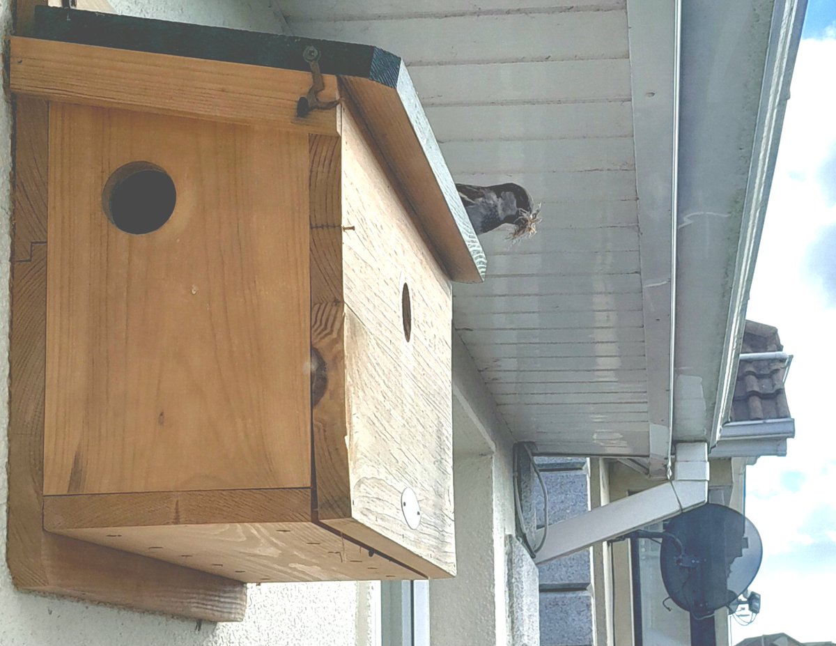 Wicklow Nature tweet media