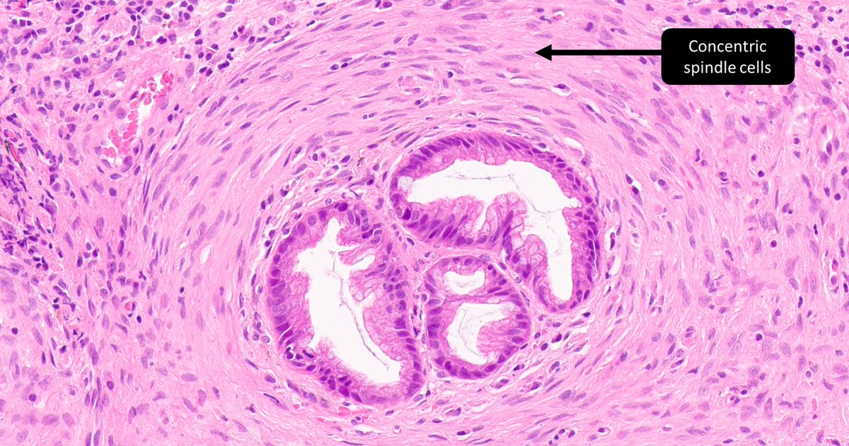 DrCycloPath tweet picture