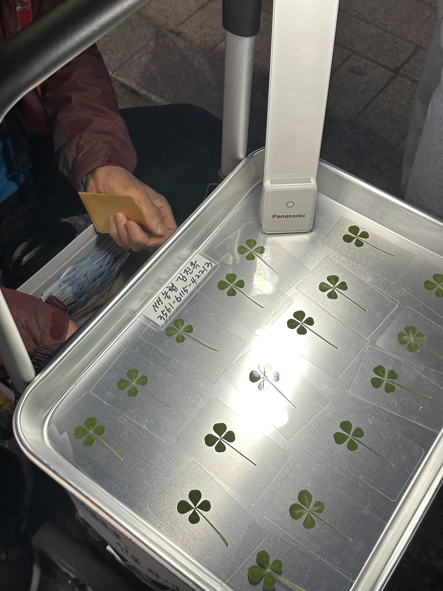 bloombaloom's tweet photo. ใบ clover ยังสั่งได้อยู่น้า
กลับอาทิตย์นี้ ส่งไวๆ

🍀 ใบโคลเว่อร์ 4 แฉก 🍀
(ใบแห่งความโชคดี 4 ด้าน ความรัก/ความหวัง/ความโชคดี/ความเชื่อมั่น)

🤍 150 บาท
🤍 ส่งของ 23 เมษา

💓สอบถามที่ openchat/สั่งในไลน์นะคะ💓

#หิ้วเกาหลี #พรีเกาหลี  ใบโคลเวอร์ ใบโคลฟเวอร์ ใบโคลฟเว่อร์ ใบโคเวอร์ https://t.co/dFMl7LvFcP