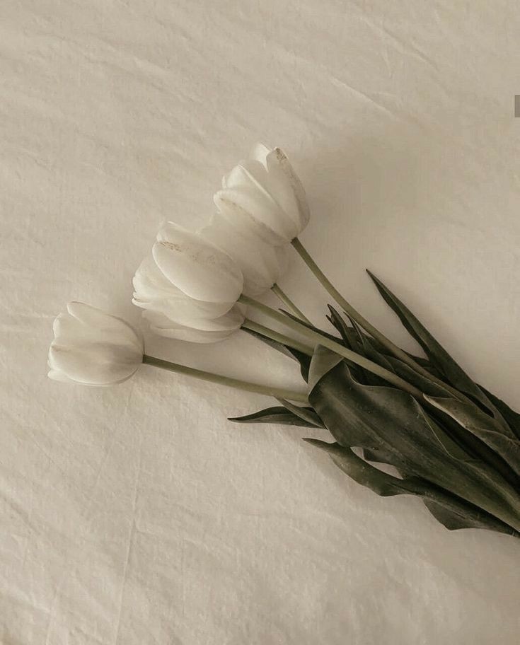 day - 13⋆ ୭
   ⋆  ⋆  ⋆  ⋆  ⋆  ⋆  ⋆  ☁ 你好 ,  ୭
★ haii im alex!!! ★ 

~ he/him ⋆ 💞
~ teen ⋆ highschool
~ zerose, p1ece, engene, moa, nctzen, briize ⋆
~ any fandom is welcome
~ interactive moots!! ⋆ #moots
~ im not new to #kpoptwt - #stantwt
♡ / ↻ cuties luv you