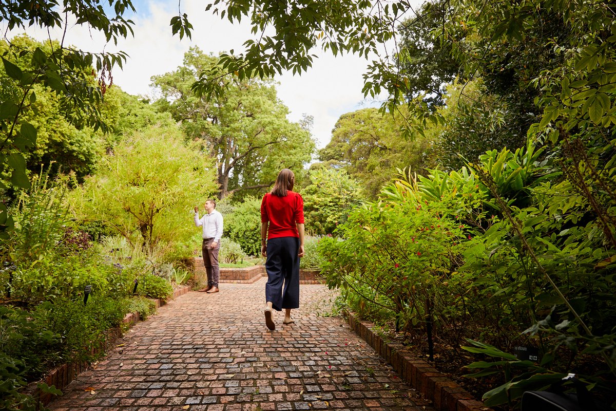 Breathe in the fresh autumn air and decompress on our guided Forest Therapy sessions. 🌳🌿 Take some time to relax, revive and reconnect in the centre of Melbourne. 🌳 Forest Therapy at Royal Botanic Gardens Melbourne 📆 Sundays ⏰ 10am Book now at: rbg.vic.gov.au/wellbeing/