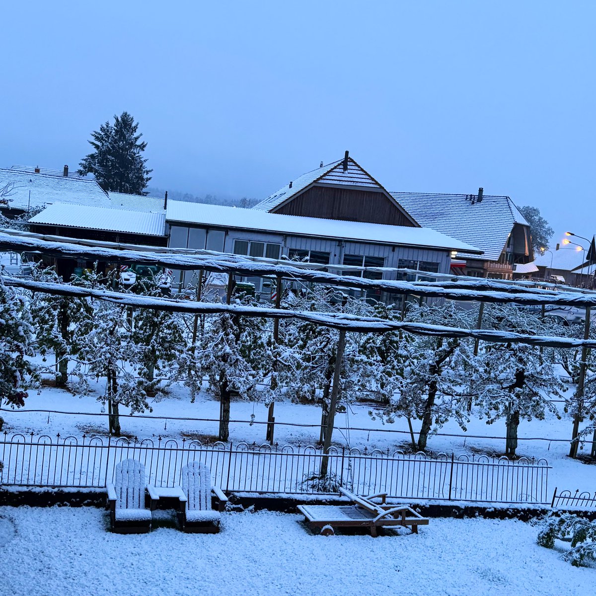 Hannah von Ballmoos-Hofer tweet media