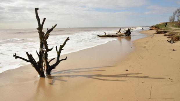 The Sunday Times has named the beach in Covehithe, near Southwold in Suffolk, among the UK's best. lowestoftjournal.co.uk/news/24259158.… 👇 Full story