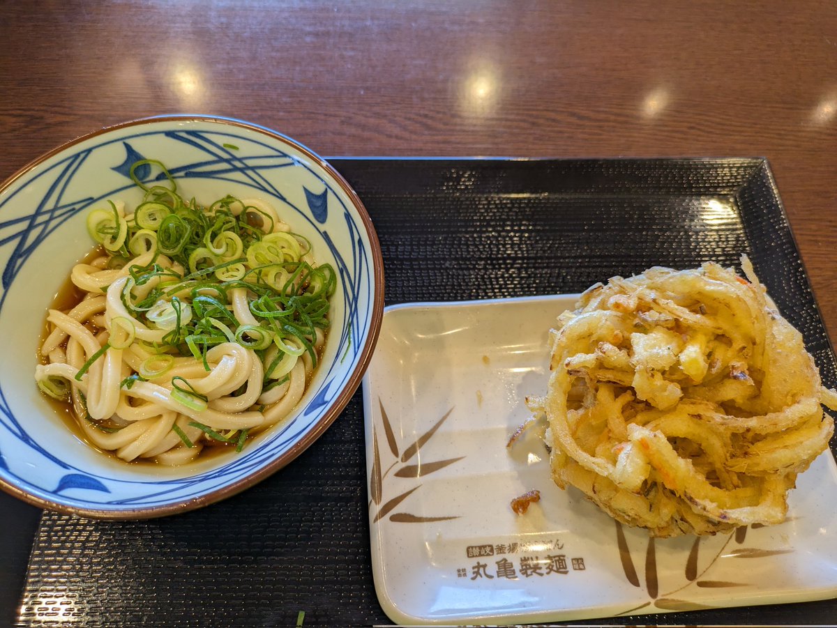 たまには野菜ちゃんと食べようと思って頼んだけど食べてみたら油分も多くてプラスマイナスゼロな気分になる丸亀製麺の巨大掻き揚げが好きです。