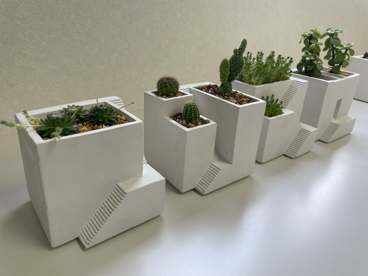 concretekacchan's tweet photo. 小さなホワイトコンクリートの鉢に植物植えたらこんな感じ。どうぞ参考にしてくださいね。
#ienami https://t.co/TNqpnrGLfL