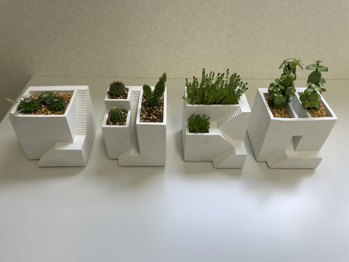 concretekacchan's tweet photo. 小さなホワイトコンクリートの鉢に植物植えたらこんな感じ。どうぞ参考にしてくださいね。
#ienami https://t.co/TNqpnrGLfL