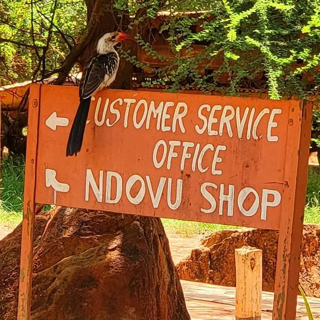 KWSTsavoEast's tweet photo. Relax! For general information,Nature got you covered!

#TunzaMaliYako  #ExploreExperienceConserve
#TsavoEastNationalPark https://t.co/p6gQBCaNoy