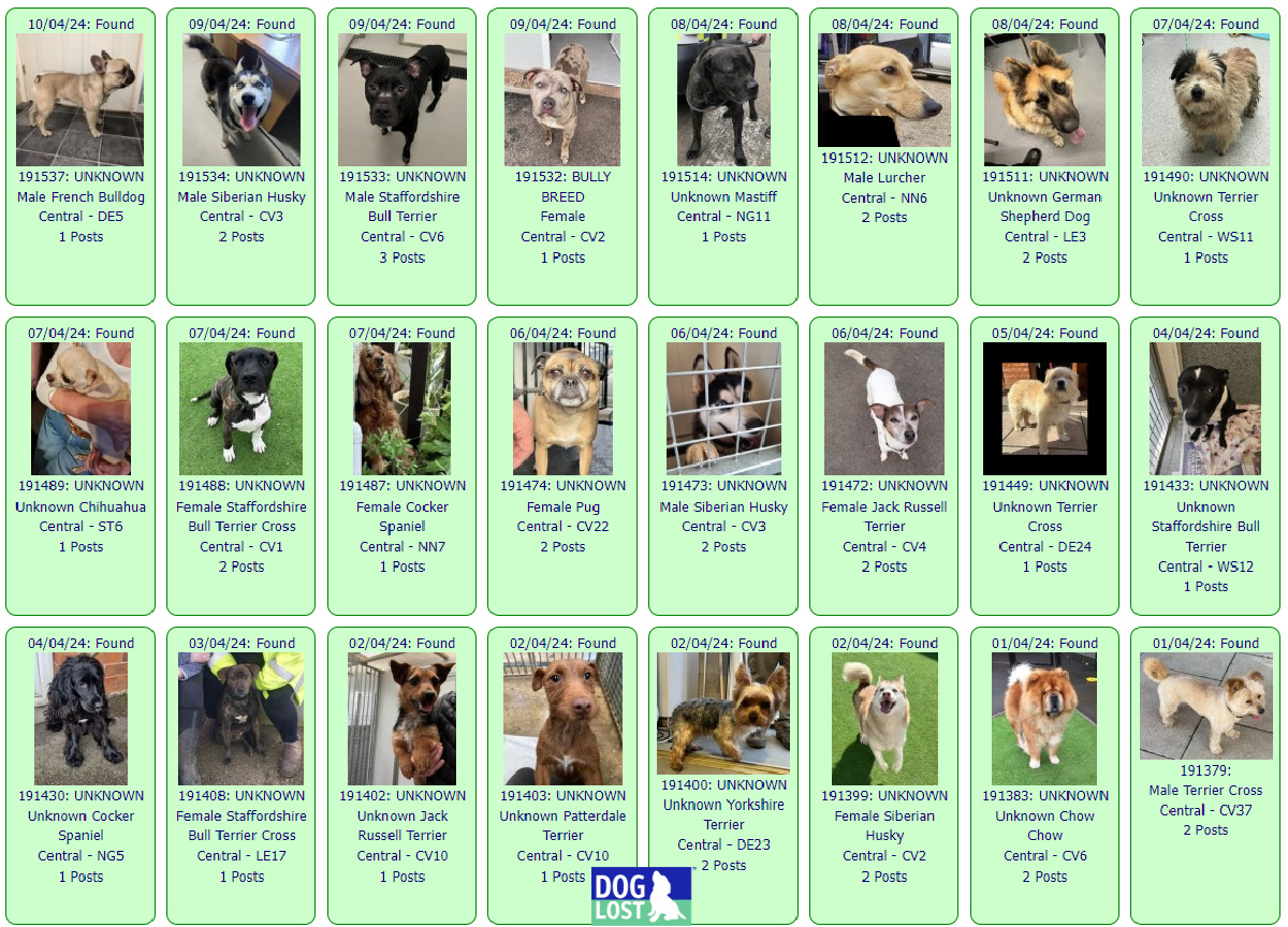 #FOUND #DOGS CENTRAL * April 10th ~ April 1st 2024 These #FoundDogs are on the @DogLost_UK site as being FOUND in our #Central area If you see your dog below go to doglost.co.uk and put the ID NUMBER (shown under the photo) into the search menu for more details