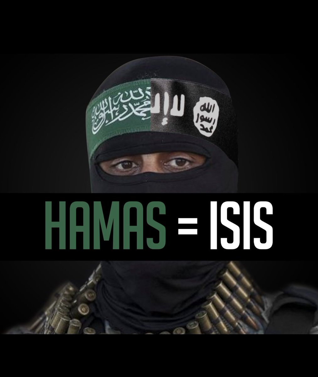 @visegrad24 Yes. And Hamas is ISIS.