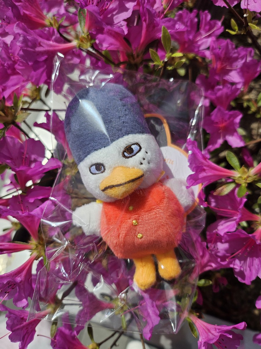 외계인👽안젤라 tweet media