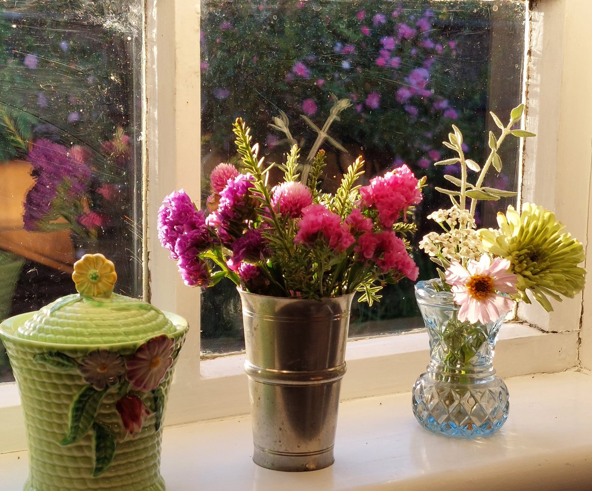 GabyLynch9's tweet image. Afternoon sun #Flowers #Puppies   makes your heart sing 🌞🐶🐾💐 #SimpleThings 😍