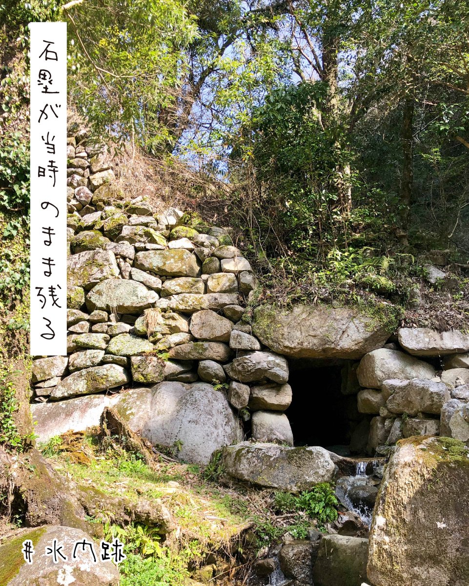 saga_tsubo's tweet photo. グルメも、体験も、絶景も！ 
#あそぼーさが公式ライター が佐賀を深堀り、魅力をお届けします✨ 
📄基肄城/絶景の山に眠る歴史をひもとく旅
https://t.co/P4MH9pTnty
#サガサガシ #ライター #歴史 #絶景 #山城 #カレー #基山 #あそぼーさが #佐賀県観光連盟 #壺侍 #佐賀旅 #佐賀 #SAGA #九州 https://t.co/5j6FceC2MY