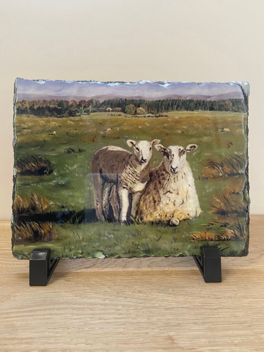 Sheep and Lamb Decorative Slate Ornament granvillestudio.etsy.com/listing/142342… Print taken from an original painting by Judith Owston #mhhsbd #farming #hillfarming