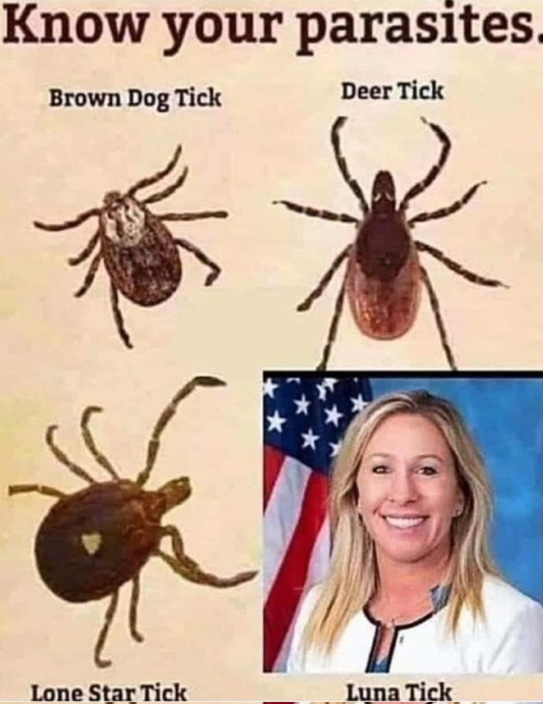 Marjorie Taylor Greene