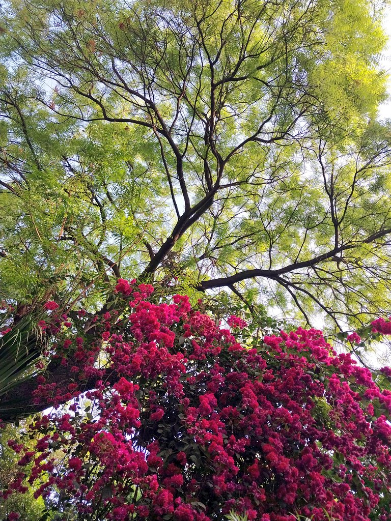 Life in contrast #photooftheday #photoofthedaybydeepanwita #Delhi