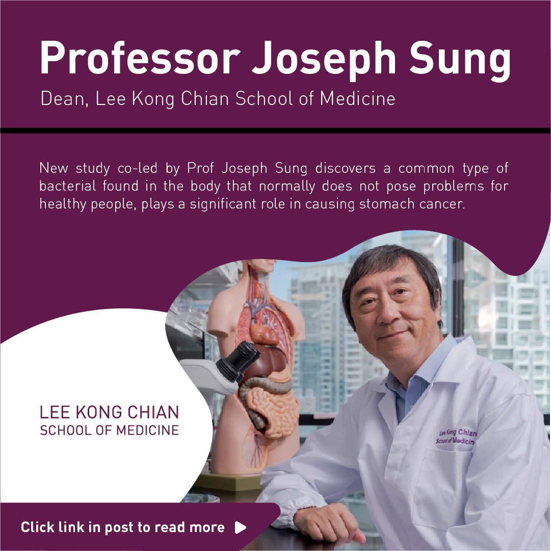 Research led by LKCMedicine Dean Prof. Joseph Sung links Streptococcus anginosus to stomach cancer. This common bacteria can promote cancer growth but disrupting its surface protein reduces its effects. 🔬🦠 Read more: ntu.edu.sg/news/detail/ba… #lkcmedicine #CancerResearch