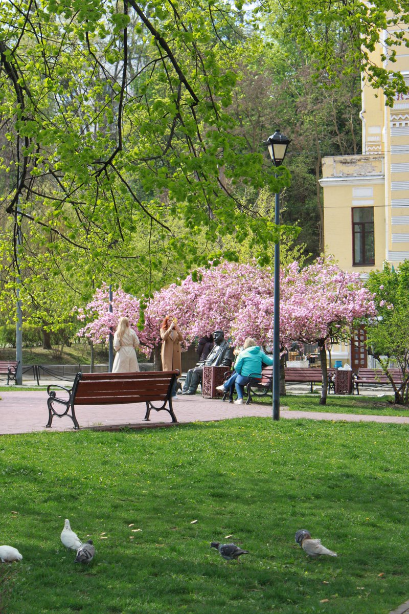 📌Площа Івана Франка. 
 #київ_фото_ludmila #Київ #Kyiv #SPiCollective #street #Україна #Ukraine #thevillageua #площафранка #travelphotography #streetphotography #StreetPhot #streetmoment #city #citylife #фотоКиєва #canon #київ2024 #весна2024 #spring #сакури