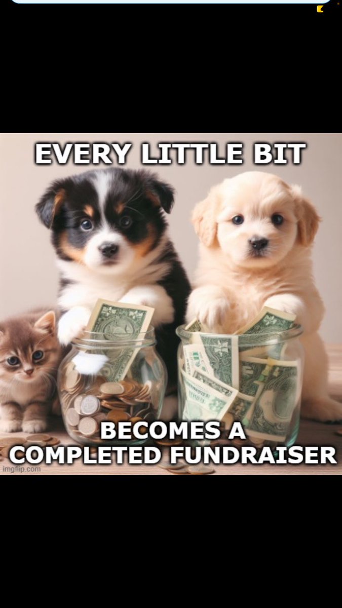 💥 IMPORTANT   COLLECTION NEWS ‼️💥

‼️🛻 3rd Separate Assault Brigade needs a 4x4 🚙‼️💥

🚨In the bag : € 1615
     Remaining: € 4385
💥 
This truck is a necessity so  🙏
Donate💰💶💷 How? See her tweet and remember: 
don’t put anything in What’s its for!