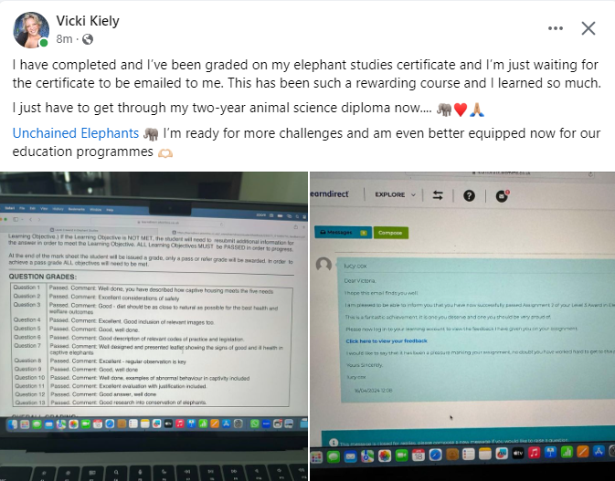 UnchainedDaniel's tweet photo. We're stoked to have Vicki on our team! She has completed and been graded on her elephant studies certificate.
We're not playing games here; we're here to make an impact! #DoingItTheRightWay https://t.co/HD8T3cEGi3