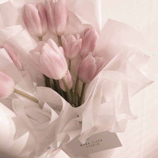 ran 🌷💖 tweet media