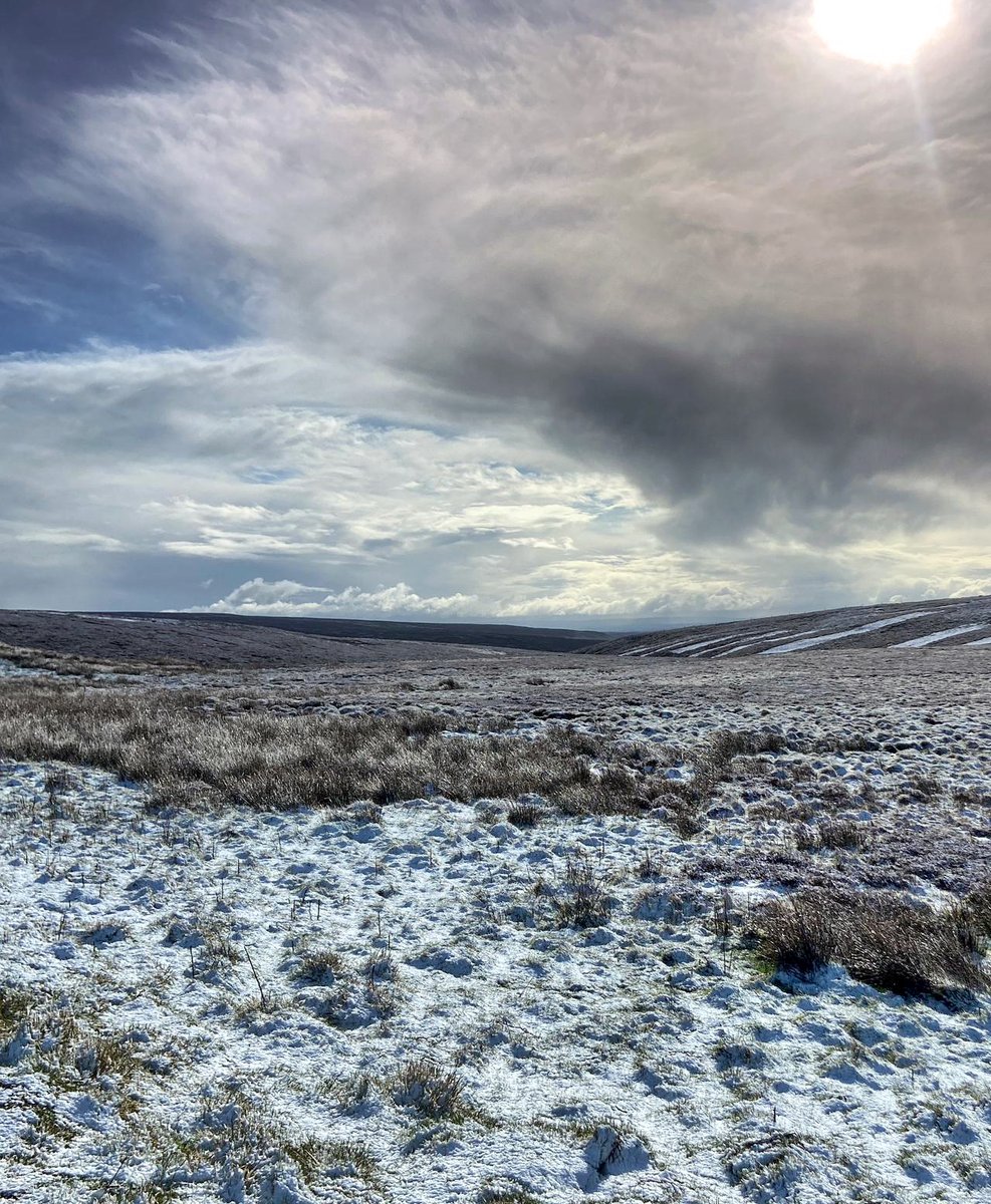 Yorkshire Dales National Park tweet media