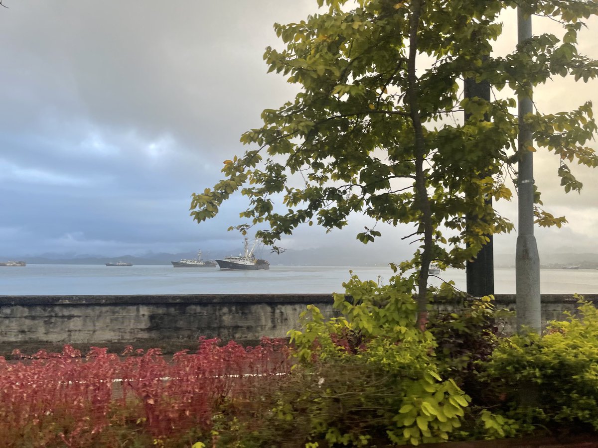 Rainy Day. Suva Harbor.