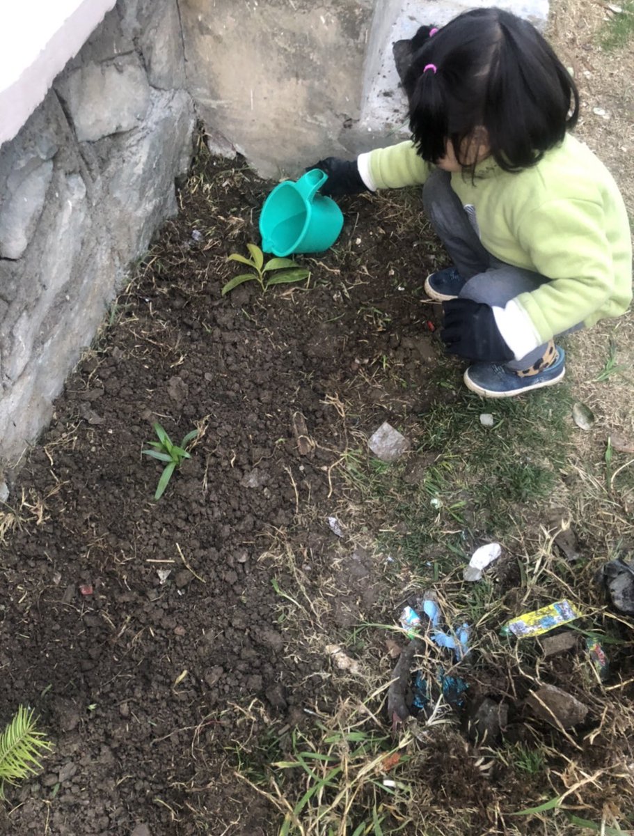 FaheemFilza's tweet photo. As #EarthDay2024 approaches, If any govt or non-govt organization is hosting a plantation or a cleanup drive in #Srinagar city, please make me a part of it. 

Let's unite and contribute to saving the planet together. 
#PlasticPollution 
#EarthDay is on Monday. 🌍
@irfanifs https://t.co/IY2f2cXv6m