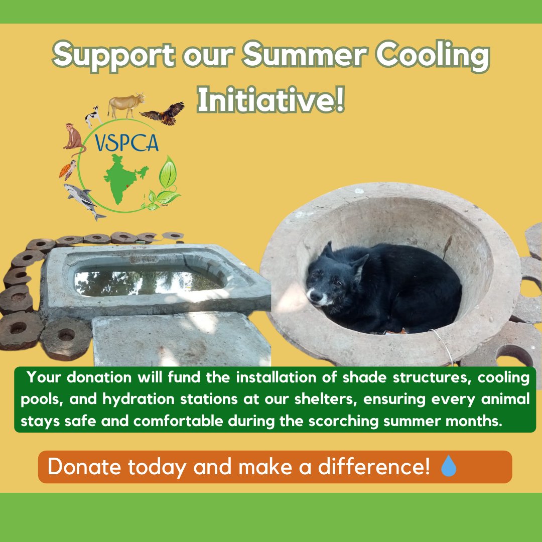 Support our summer cooling initiatives!
vspca.org/donate
