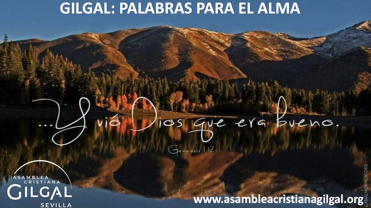 GilgalSevilla's tweet photo. Él te ha creado a ti y ha derramado toda Su bondad en tu vida. Eres precioso(a) para Dios y Él te ha creado maravillosamente. A pesar de tus fallos, de tus problemas o de las situaciones por las que estés pasando, Él te ama, y quiere inundar Tu vida con Su bondad. https://t.co/9r7S84U9uC