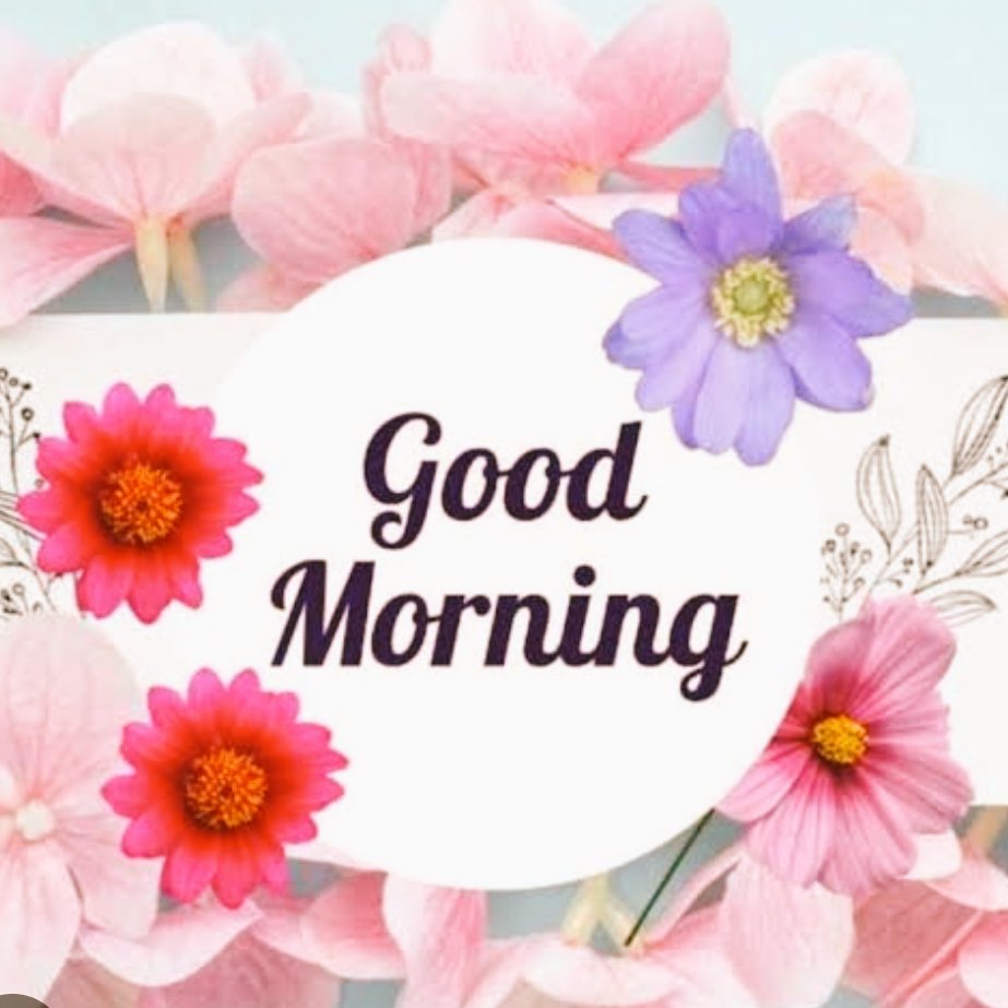 Assalam o Alaikum 🩷

Good Morning 💞