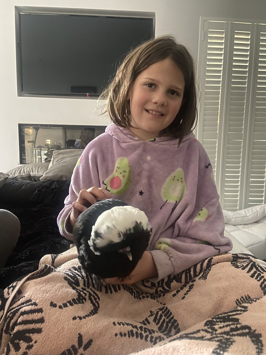 CayKendall tweet media