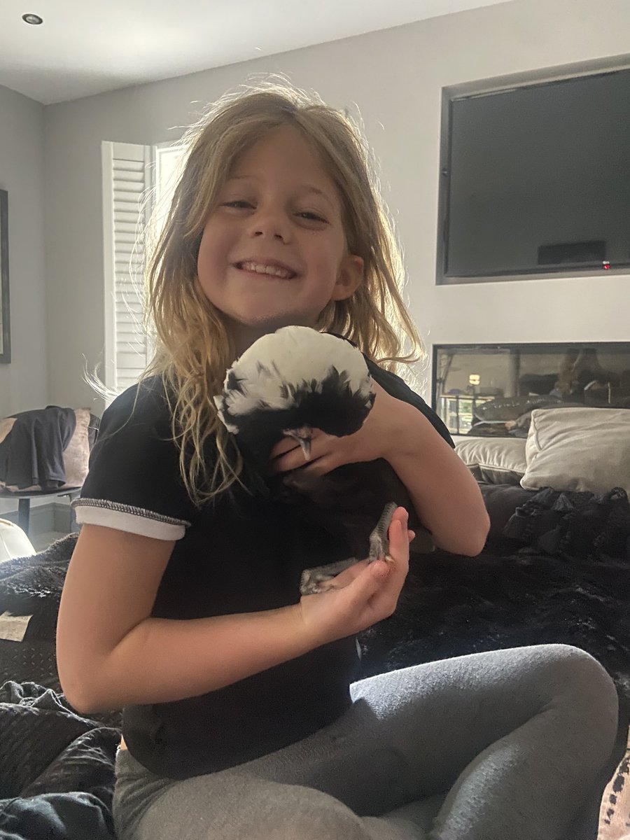 CayKendall tweet media