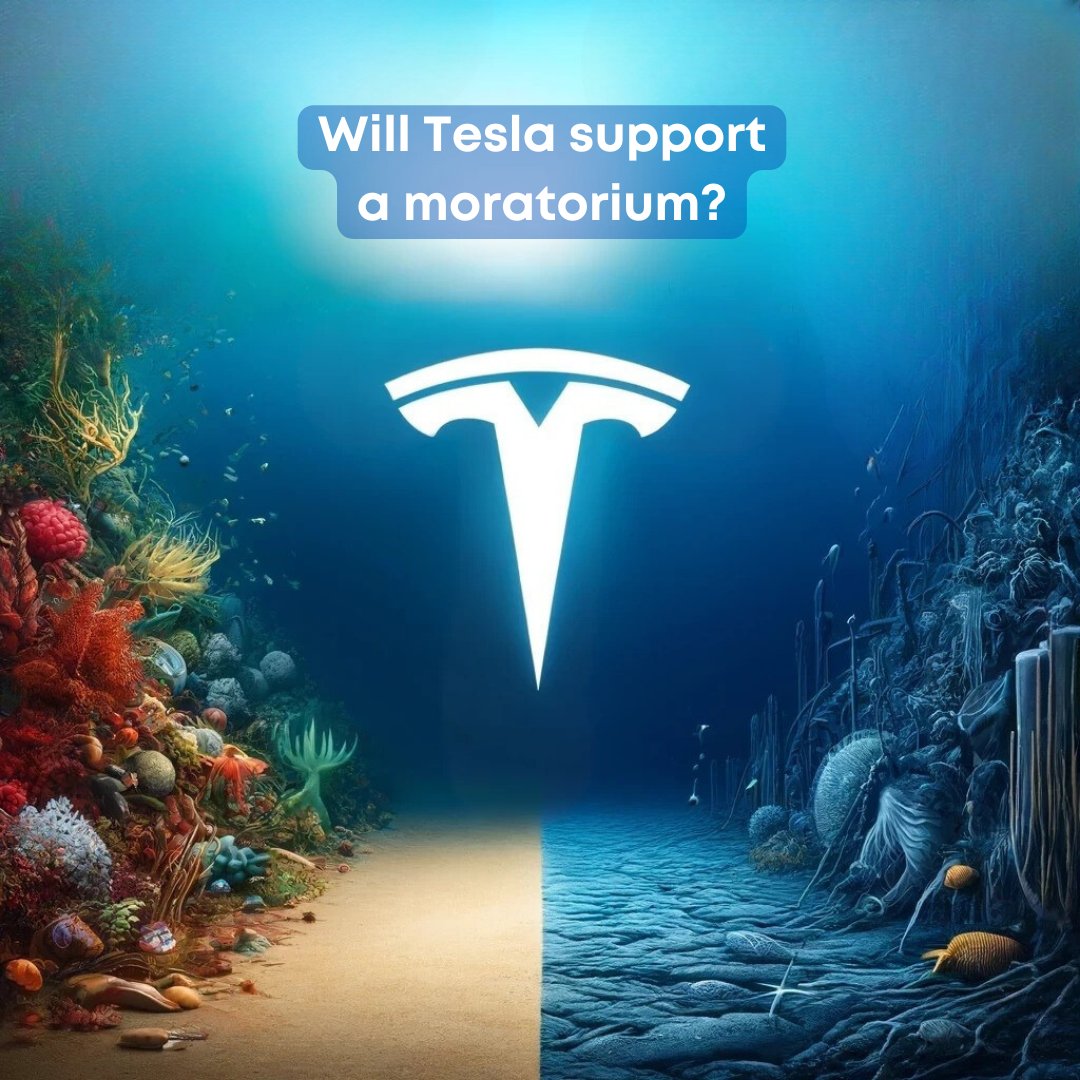 The SEC (Securities and Exchange Commission) has spoken: @Tesla must face the deep sea mining debate. What do you think their stance will be? Dive deeper with us. Sign up to our email updates for more - bit.ly/4446gMQ