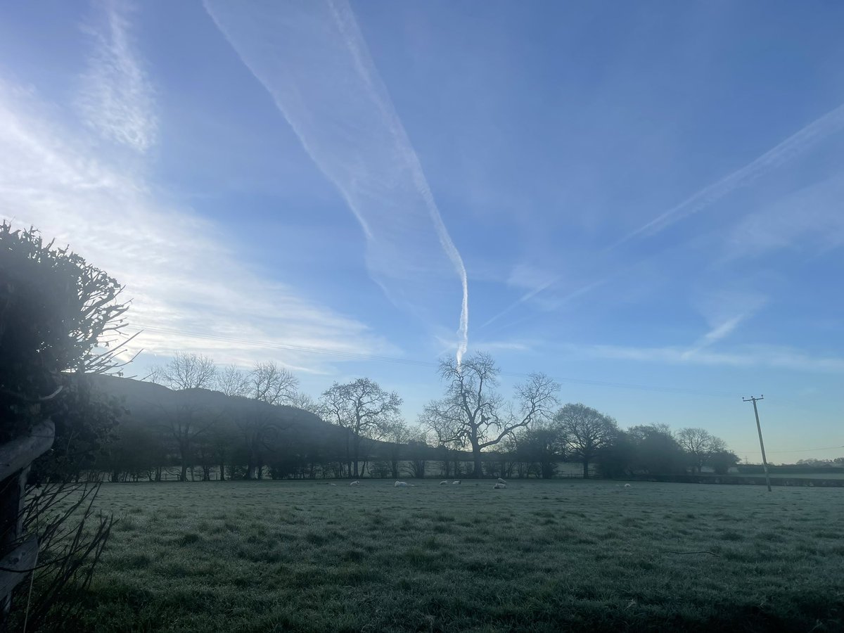 Early morning frost on the nettles but looking hopeful for a lovely day weather ahead. Happy outdoors everyone.