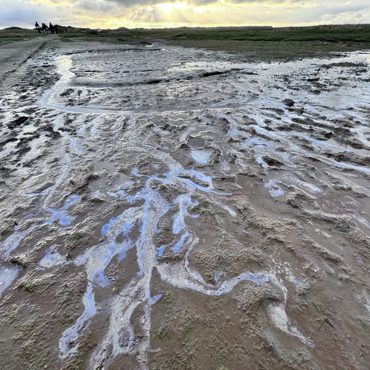 #Texel heeft ijzer in de grond en dus in het grondwater wat in de 17e en later werd gebunkerd door de VOC. Het was veel langer houdbaar en bracht groot voordeel door langer/sneller te kunnen zeilen, zonder aan land te hoeven (gevaarlijk). #Slufter #SlufterStruûn