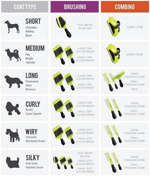 'Save money and bond with your pet with these simple DIY grooming tricks. #BondingTime #BudgetGrooming'