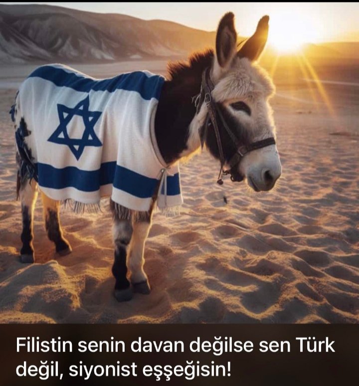 İsrail'i seven Türk olamaz.