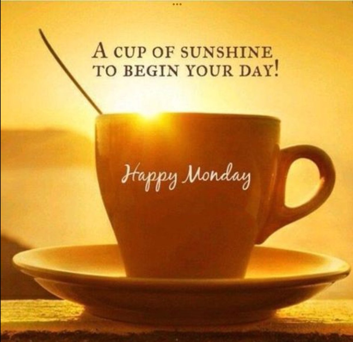 ☕️🙋🏼‍♀️☕️

May there be sunshine in your day !

#Coffee helps

@Cbp8Cindy @QueenBeanCoffee @suziday123 @LoveCoffeeHour @FreshRoasters @Stefeenew 

#CoffeeLover #CoffeeLovers #CoffeeTime #CoffeeTalk #CoffeeAddicts #CoffeeCulture #CoffeeCup #Coffeeshop  #CoffeeKings  #CoffeeClub