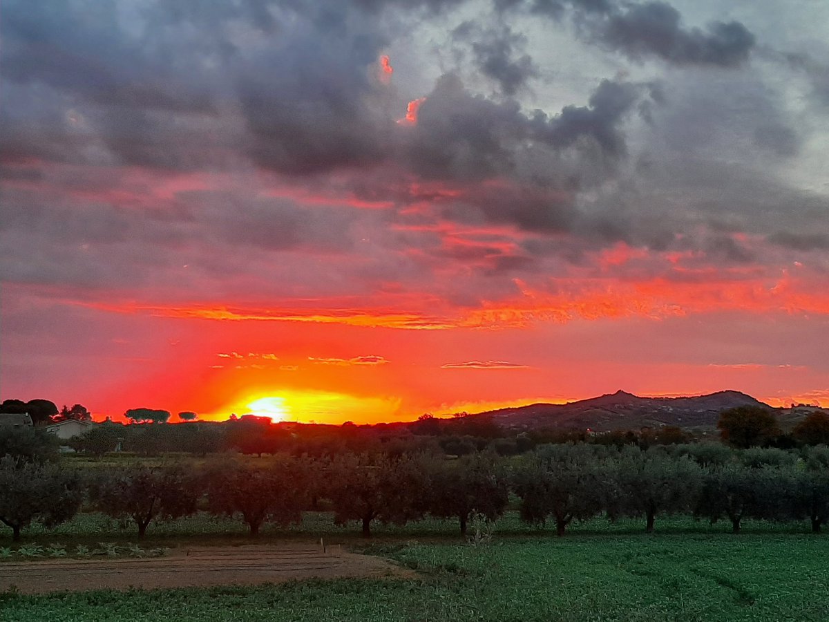 #SiTratta di vedere se ce la farà 
Buongiorno