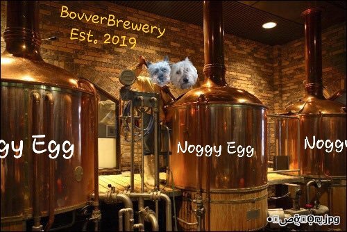 Throwback Thursday when me and Norm opened our own noggy egg distillery.....we had to cos we kept drinking all the noggy eggs 😂 @Norman_Dillon1 #BovverBoys #ThrowbackThursday