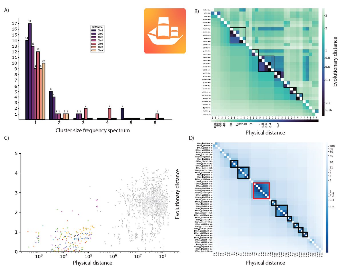 I am glad to share our recent Bioinformatic tool. GALEON: A Comprehensive Bioinformatic Tool to Analyse and Visualise Gene Clusters in Complete Genomes biorxiv.org/content/10.110…