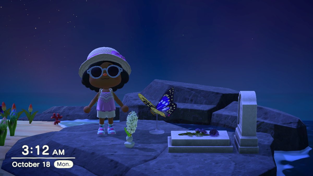 jioniclip's tweet image. my dog's memorial from 1st island