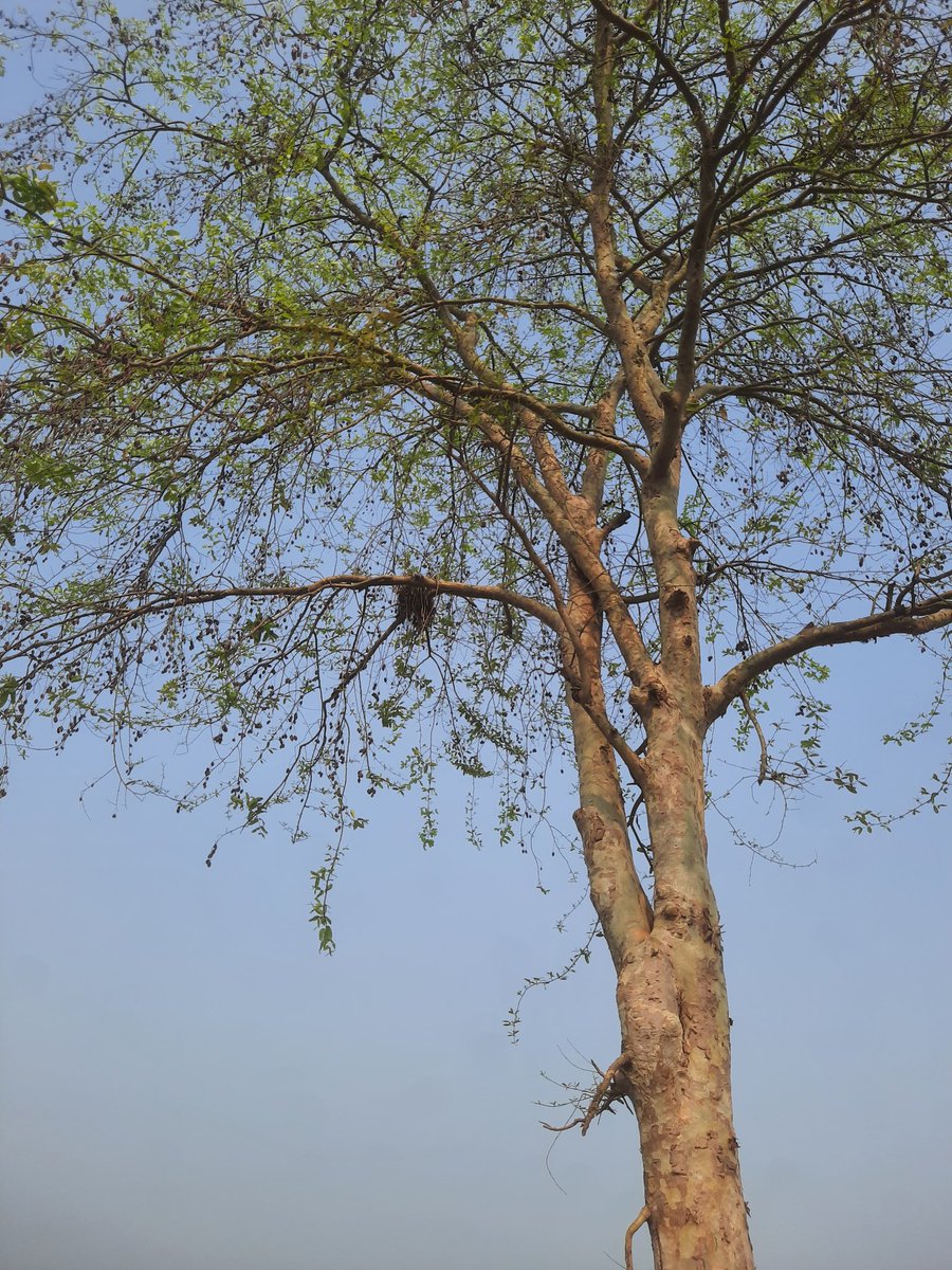 Let's Go $RICY 
<a href="/ricyofficial/">ricy</a> 
Participant The event
@SenderLabs Lets farming $BEYOND <a href="/PlayGroundCorp/">PlayGround</a> ,   $PARAM <a href="/ParamLaboratory/">Param Labs</a>,   Earn More $PIXIZ or <a href="/Pixiz_io/">Pixiz</a> @Explore <a href="/playsomo/">SOMO</a> Join Project $SOMO  <a href="/PublicAi_/">PublicAI</a>  🔥 <a href="/Forge/">Forge</a> #Forge
<a href="/ShardsOfficial/">Shards Protocol ⚡️</a>  $SHARDS $XTER #BTCHalving #BTC