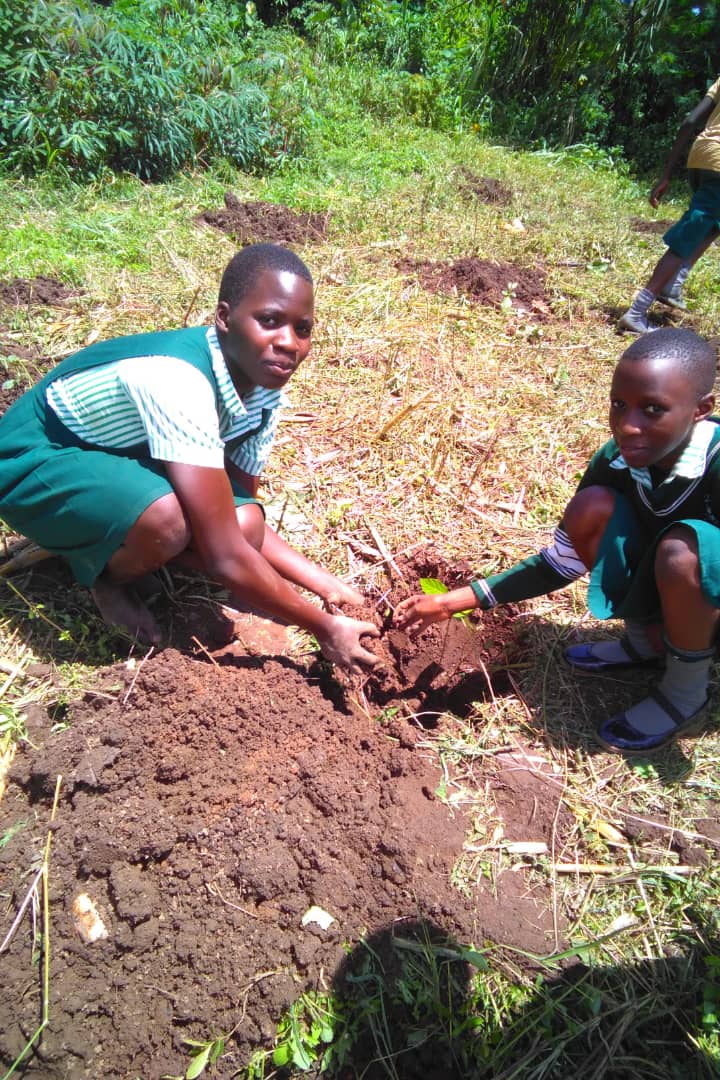 Our environment education project in schools in Mukono with our partners @PhoenixCFDN is slowly paying off. This week, we planted 500 trees at Off-Tu Education Center and mapped them using the Tree Adoption App. The time is now to act with children as a part🌲 #ClimateActionNow