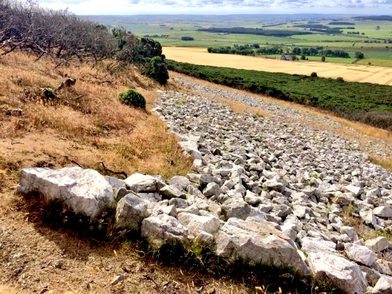 The White Horse on Mormond Hill in Aberdeenshire.

According to a local saying, if you turn round three times in the horse’s stony eye, your wish will be granted!

More: ailishsinclair.com/2023/07/the-wh… 

#FolkloreThursday #Scotland