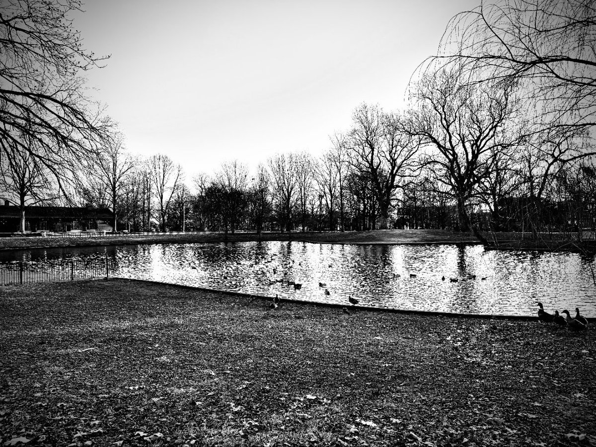 Duck Pond

#DuckPond #Pond #DuckLife #StLouisPark #Dowtown #Stlouis #DowntownStLouis #OutSide #WalkAbout #PhotographyIsArt #Photography #BlackAndWhite #BlackAndWhitePhotography #ShotOniPhone #iPhone #iPhone15 #iPhone15ProMax